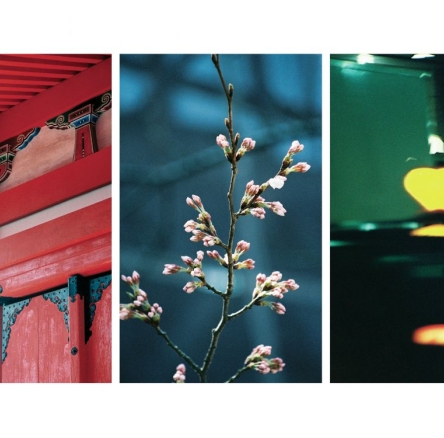 Chinatown-temple, blossom,light